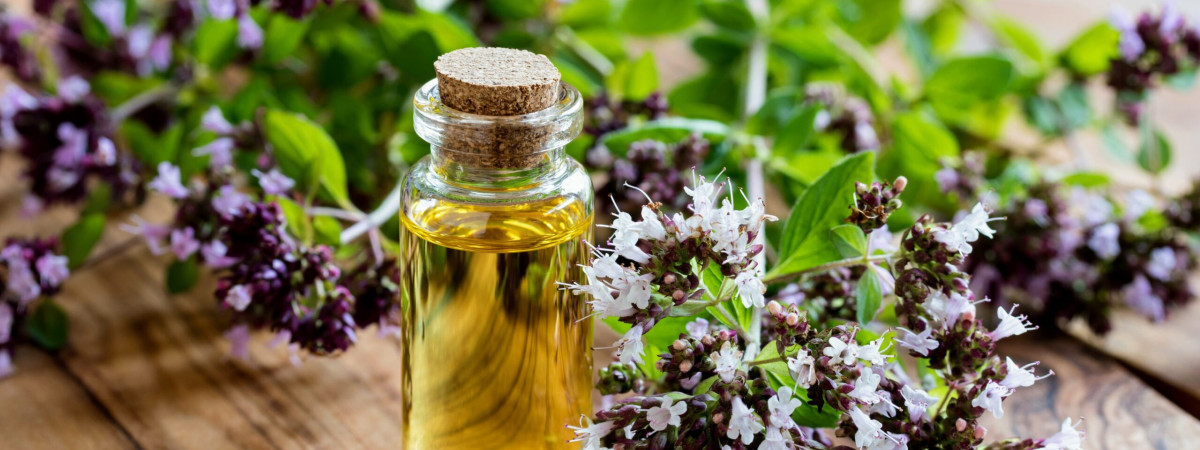 A szuperkritikus CO₂-extrakció – a természet ereje tudományos pontossággal