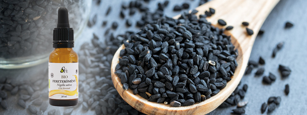 Fekete kömény – az élet magja