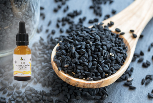 Fekete kömény – az élet magja